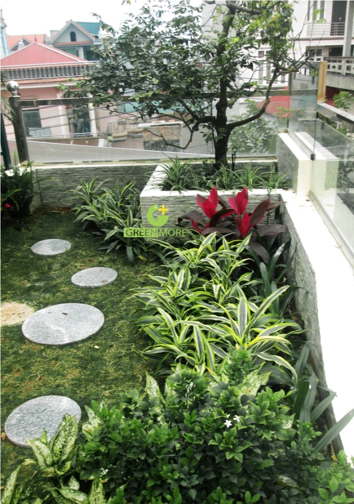 vuon Ninh Hiep - greenmore (6)