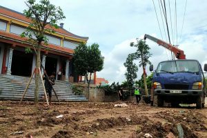 Greenmore trồng cây Sala lưu niệm tại chùa Quang Vân