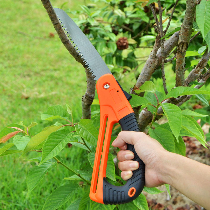 10 dụng cụ không thể thiếu trong sân vườn