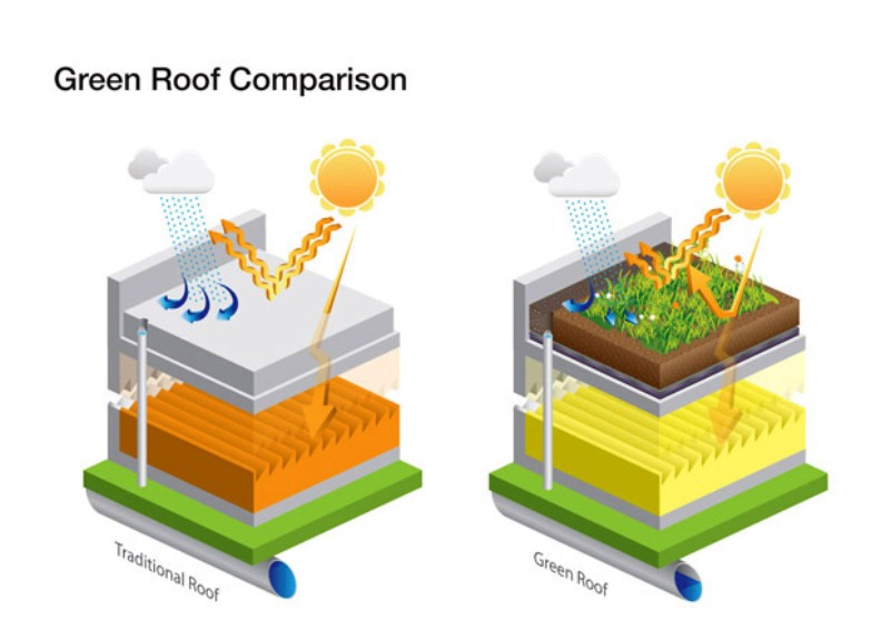 green-rooftop-benefits-1-greenmore