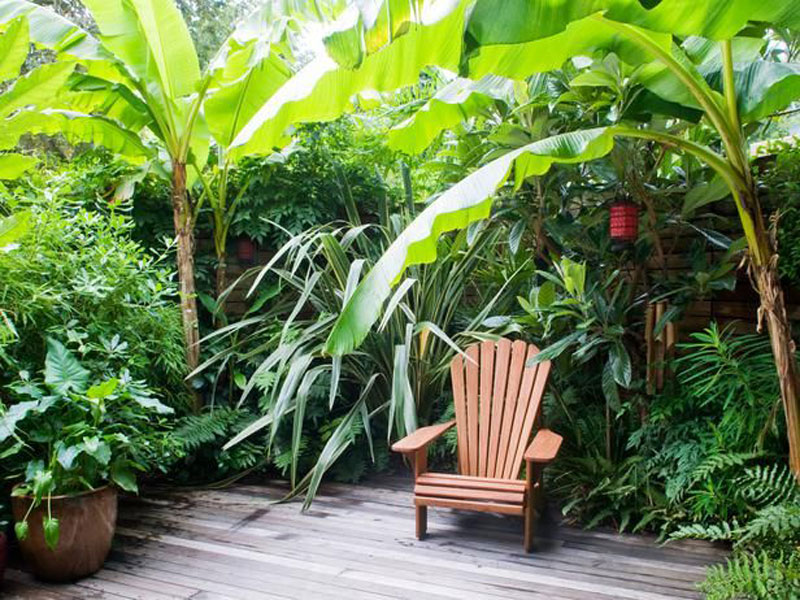 Thiết kế sân vườn miền nhiệt đới