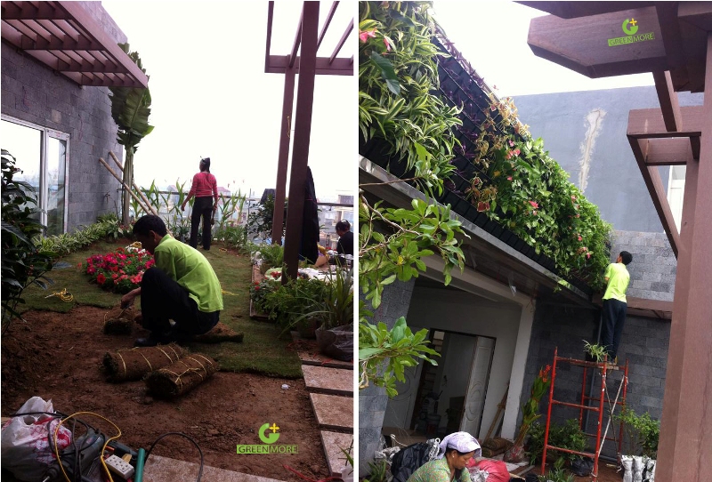 Vườn trên mái cô Dung Nam Định - Greenmore