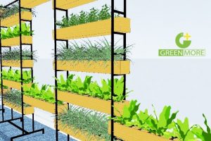 Giải pháp vườn treo cho các văn phòng xanh