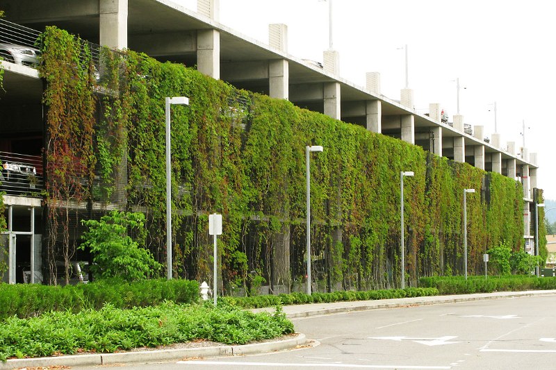 green wall parking car - greenmore (9)