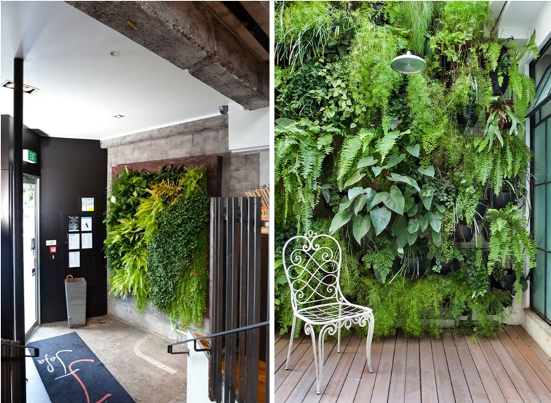 vertical garden living room - greenmore (8)