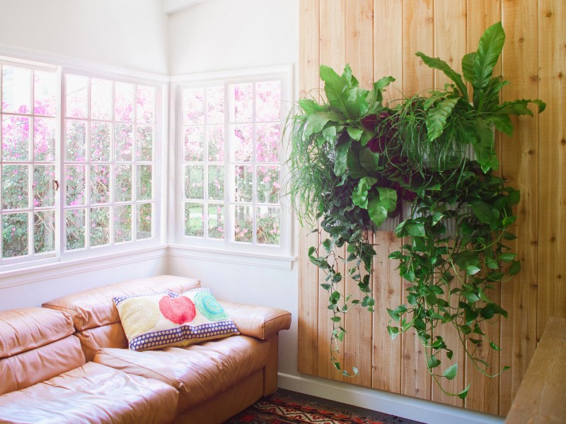 vertical garden living room - greenmore (9)