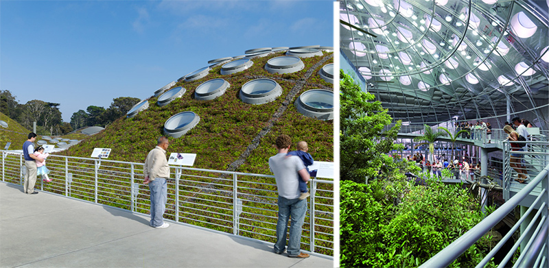 Học viện Khoa học California Địa điểm: San Francisco, California Kiến trúc sư: Renzo Piano Building Workshop