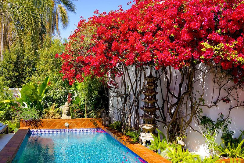 8+ bể bơi châu Á tuyệt đẹp cho sân vườn nhà bạn