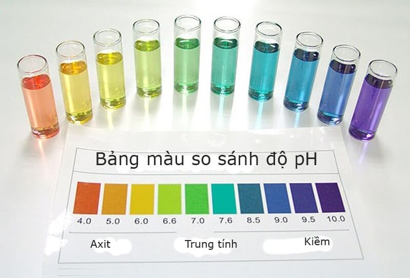 Chỉ số pH tiêu chuẩn nước nuôi cá Koi lí tưởng là từ 7-7,5