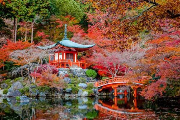 Sân vườn Nhật Bản: Nghệ thuật sống tĩnh lặng