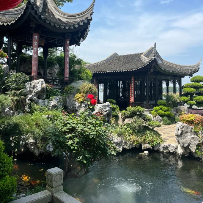 thiết kế sân vườn