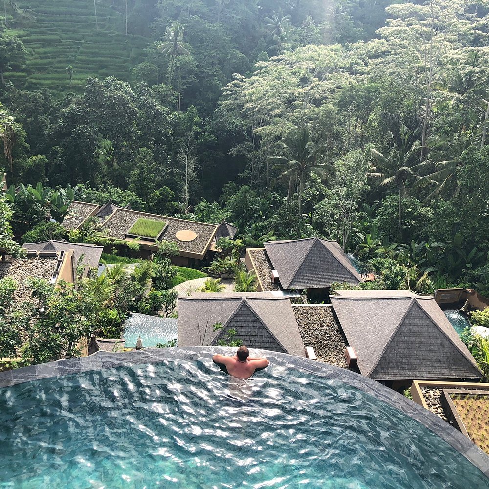 Tắm cánh hoa trên cao và ngắm cảnh quan đẹp