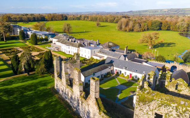 Khu vườn riêng biệt sau biệt thự