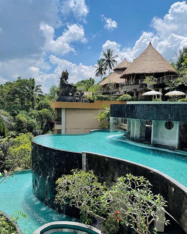 Jungle Room view rừng