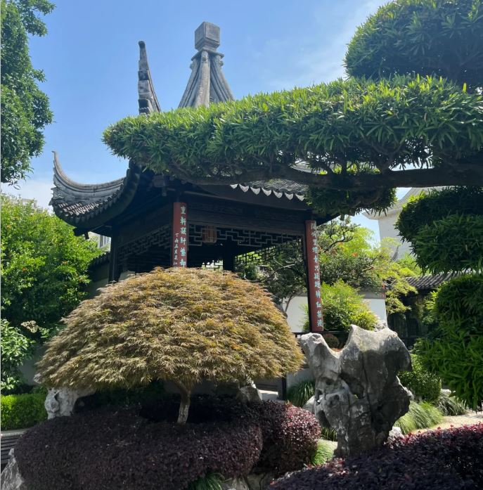 thiết kế sân vườn