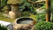 Vai trò của tiểu cảnh nước trong thiết kế sân vườn