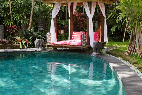Làm thế nào để tạo ra một khu vườn nhiệt đới tươi tốt