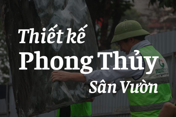 Phong Thủy Sân Vườn Hiện Đại: Dắt Sinh Khí Và Tài Lộc