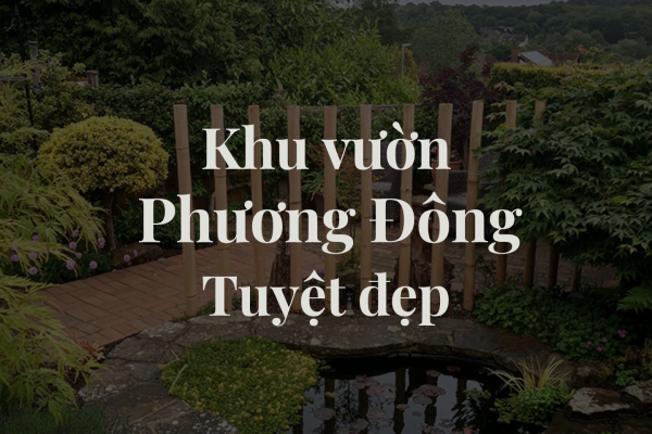 Những lời khuyên hàng đầu để có một khu vườn phương Đông tuyệt đẹp