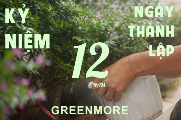 12 NĂM GREENMORE VIỆT NAM: HÀNH TRÌNH KIẾN TẠO NHỮNG KHOẢNG TRỜI AN NHIÊN