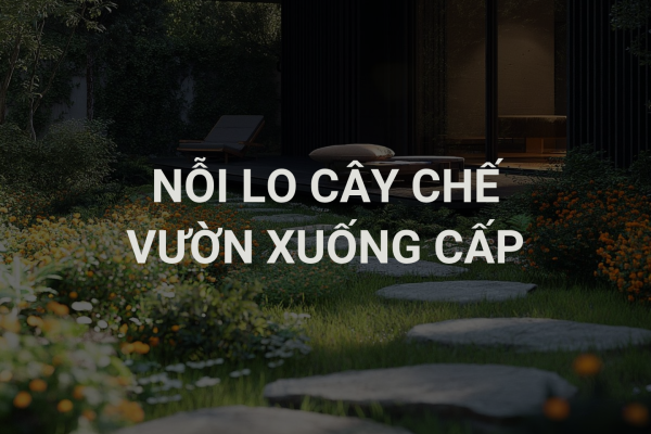 Cây Chết, Vườn Xuống Cấp: Giải Pháp Bền Vững Cho Khu Vườn