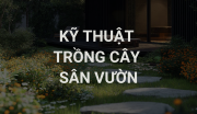 Kỹ Thuật Trồng Cây Sân Vườn, Khởi Đầu Của Sự Sống