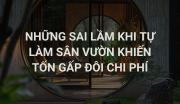 Những Sai Lầm Khi Tự Làm Sân Vườn Khiến Tốn Gấp Đôi Chi Phí