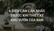 6 điều cần cân nhắc trước khi thiết kế khu vườn của bạn