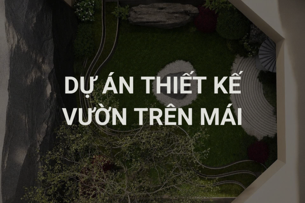 Dự Án Thiết Kế Sân Vườn Trên Mái