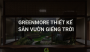 Thiết Kế Sân Vườn Giếng Trời: “lõi Xanh” Giữa Lòng Thành Phố