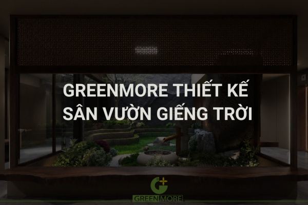 Thiết Kế Sân Vườn Giếng Trời: “lõi Xanh” Giữa Lòng Thành Phố