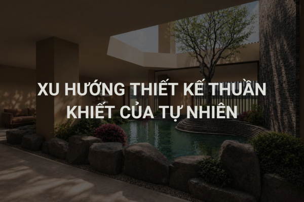 Xu Hướng Thiết Kế Có Hồ Bơi: Đỉnh Cao Xa Xỉ