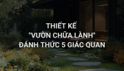 Thiết Kế “Vườn Chữa Lành” Đánh Thức 5 Giác Quan