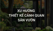 Xu Hướng Thiết Kế Cảnh Quan, Sân Vườn Đẹp