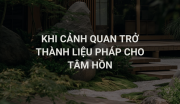 Khi Cảnh Quan Trở Thành Liệu Pháp Cho Tâm