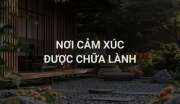 Thiết Kế Sân Vườn: Nơi Cảm Xúc Được Chữa Lành