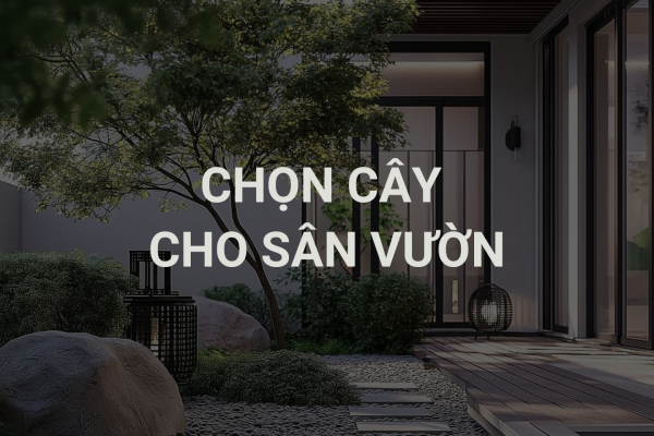 Chọn Cây Cho Sân Vườn Hiện Đại