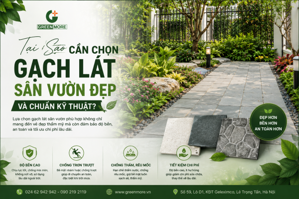 Gạch Lát Sân Vườn Đẹp: Mẹo Chọn & Xu Hướng Mới Nhất