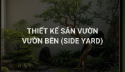 Thiết Kế Sân Vườn Bên Cạnh Nhà