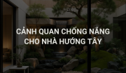 Kỹ Thuật “Hạ Nhiệt” Tự Nhiên Từ Sân Vườn