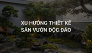 Xu Hướng Thiết Kế Sân Vườn Độc Đáo